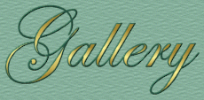 gallerytitle.gif (14946 bytes)